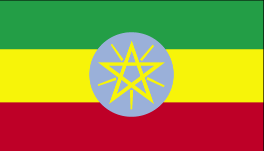 Freight Forwarders from to Ethiopia